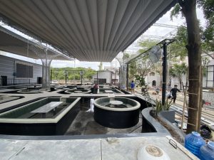 làm mái che quán cafe cá Koi giá rẻ